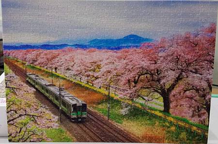 2019.02.25 368pcs Sakura Tunnel 櫻花隧道.jpg