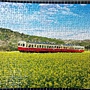 2019.03.11 300pcs 菜の花列車(千葉).jpg