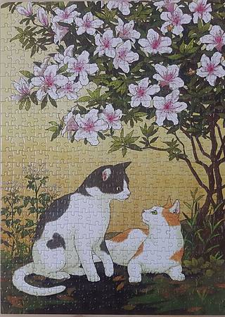 2019.04.13 500pcs Cat.jpg