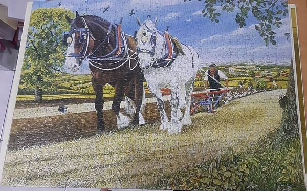 2019.04.25 1000pcs Captain & Moonlight (World Heritage Series) (1).jpg