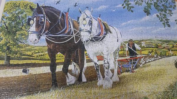 2019.04.25 1000pcs Captain & Moonlight (World Heritage Series) (4).jpg