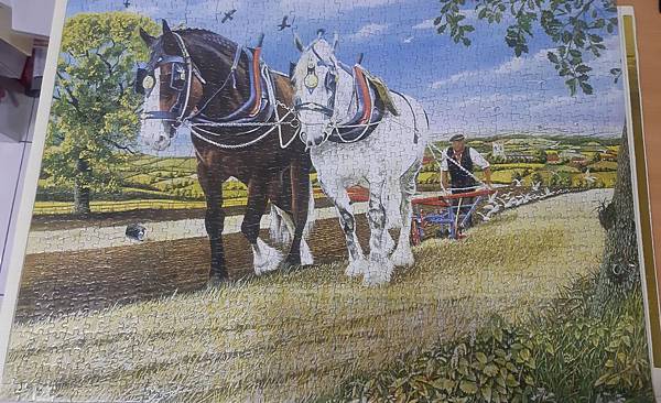 2019.04.25 1000pcs Captain & Moonlight (World Heritage Series) (3).jpg