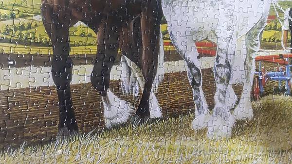 2019.04.25 1000pcs Captain & Moonlight (World Heritage Series) (6).jpg