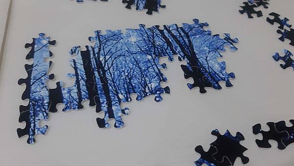 2019.06.18 1000pcs Trees & Forests (2).jpg