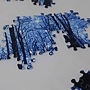 2019.06.18 1000pcs Trees & Forests (2).jpg