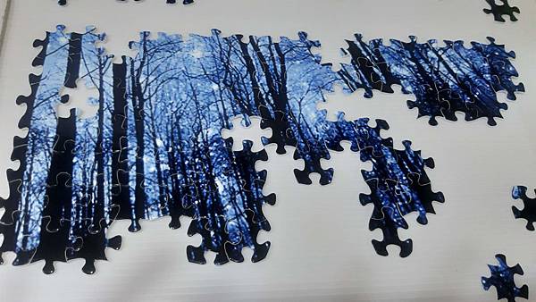 2019.06.18 1000pcs Trees & Forests (3).jpg