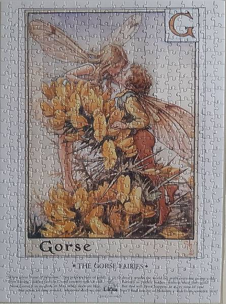 2019.06.22 500pcs Flower Fairies - The Gorse Fairies (3).jpg