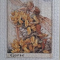 2019.06.22 500pcs Flower Fairies - The Gorse Fairies (3).jpg