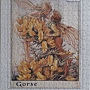 2019.06.22 500pcs Flower Fairies - The Gorse Fairies (6).jpg