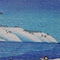 2019.07.20 1000pcs Vacation Penguins 度假企鵝 (2).jpg