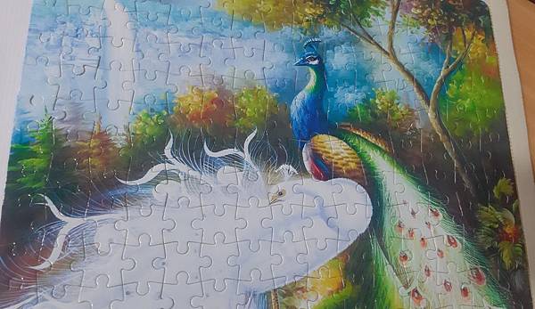 2019.09.23 300pcs 白孔雀 (5).jpg