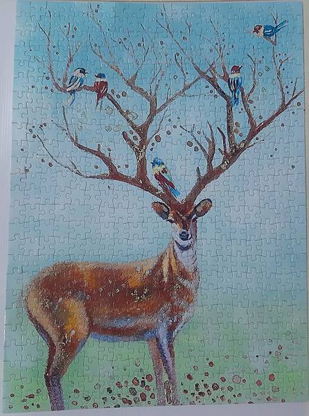2019.09.24 500pcs Spring Deer 春鹿 (8).jpg