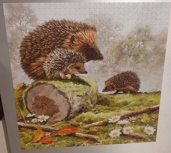 2019.10.29 1000pcs Hedgehog Family.jpg