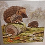 2019.10.29 1000pcs Hedgehog Family.jpg