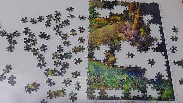 2019.12.13-14 1200pcs  Dongshin Forest Garden - Fireflies 東勢林場-螢 (2).jpg