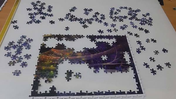 2019.12.13-14 1200pcs  Dongshin Forest Garden - Fireflies 東勢林場-螢 (3).jpg