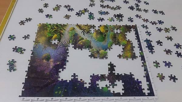 2019.12.13-14 1200pcs  Dongshin Forest Garden - Fireflies 東勢林場-螢 (1).jpg