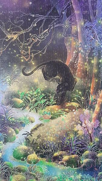 2019.12.13-14 1200pcs  Dongshin Forest Garden - Fireflies 東勢林場-螢 (5).jpg