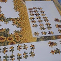 2019.12.14 500pcs Sunflower Field (1).jpg