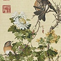 126P 清郎世寧 仙萼長春－菊花.jpg