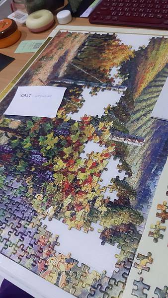 2020.01.01-01.02 4000pcs Vineyard Village part 1 (5).jpg