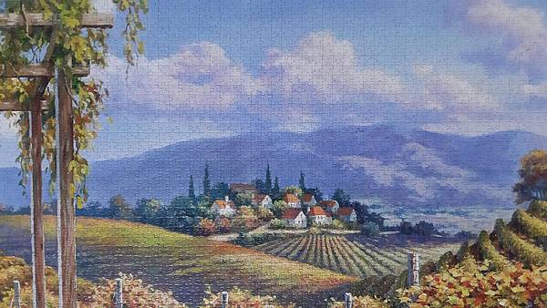 2020.01.01-01.05 4000pcs Vineyard Village (WPD-2) (5).jpg