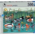 RV 500P Like Birds-Waterlands 16411，$250.jpg