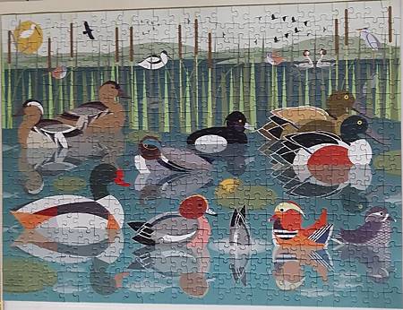 2020.02.04 500pcs Like Birds-Waterlands.jpg