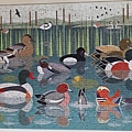 2020.02.04 500pcs Like Birds-Waterlands.jpg