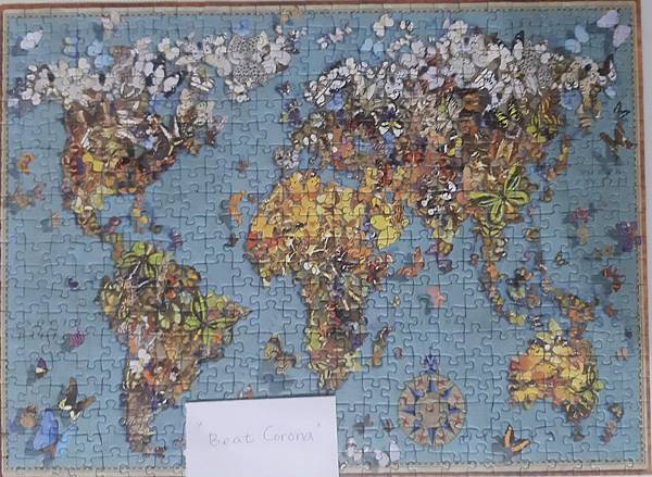 2020.03.15 500pcs Butterfly World Map (2).jpg