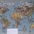 2020.03.15 500pcs Butterfly World Map (2).jpg