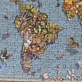 2020.03.15 500pcs Butterfly World Map (6).jpg