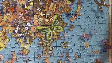 2020.03.15 500pcs Butterfly World Map (10).jpg