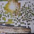 2020.03.19 2000pcs Dawn in the Forest (1).jpg