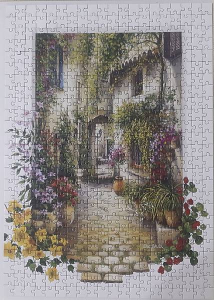 2020.03.22 500pcs In the Small Flower Village (1).jpg