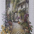 2020.03.22 500pcs In the Small Flower Village (1).jpg