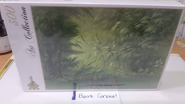 2020.03.298 300pcs Entrance to a Lagoon, Shore of the Amazon, 1854-1869 (1).jpg