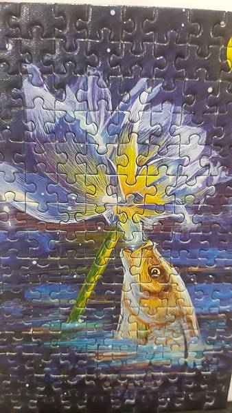 2020.03.31 150pcs 錦鯉 (2).jpg