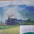 2020.04.23-24 1200pcs A Steam Train Passes Through the Rice Fields 稻香疾馳 (2).jpg