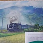 2020.04.23-24 1200pcs A Steam Train Passes Through the Rice Fields 稻香疾馳 (2).jpg