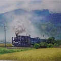 2020.04.23-24 1200pcs A Steam Train Passes Through the Rice Fields 稻香疾馳 (3).jpg