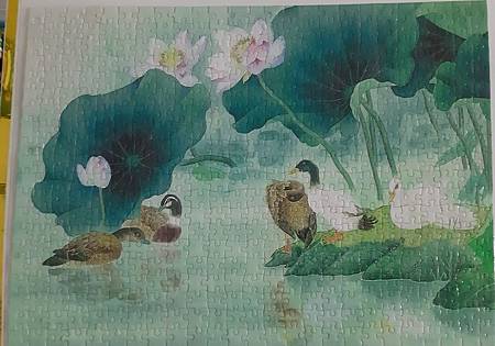 2020.05.25 500pcs Lotus Pond 荷塘 (11).jpg