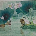 2020.05.25 500pcs Lotus Pond 荷塘 (11).jpg