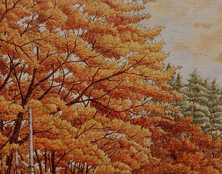 2020.10.24 600pcs Autumn Romance 秋楓色的假期 (2).jpg