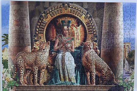 2020.11.20 500pcs Pharaoh Queen (4).jpg