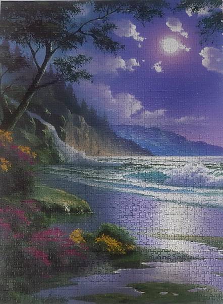 2020.11.19-11.22 3000pcs Moonlight Beach (6).jpg