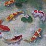 2020.12.09 500pcs  The Lucky 9 Koi 吉祥九魚圖 (3).jpg