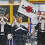 2020.12.10 300pcs Namennayo Cats 重機貓 (2).jpg