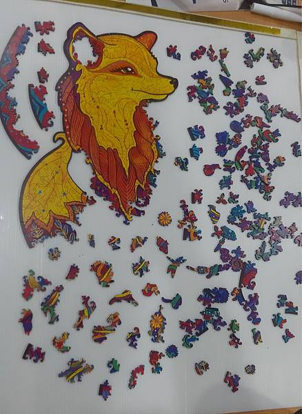 2021.02.22 332pcs Fox (5).jpg