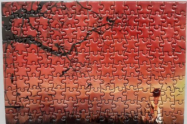 2021.02.26 150pcs 夕陽紅.jpg